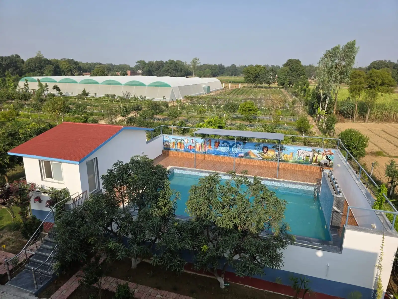 Elevated view of the pool and guest house, with polyhouses and fields behind.