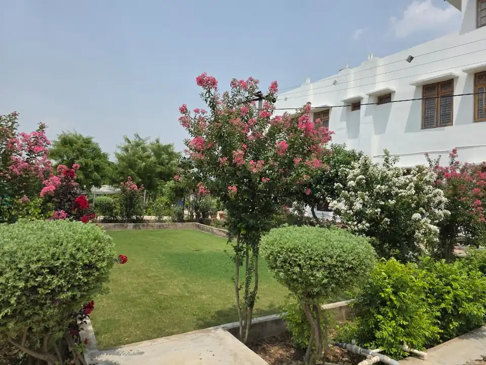 A green lawn with flowering shrubs beside the guest building.
