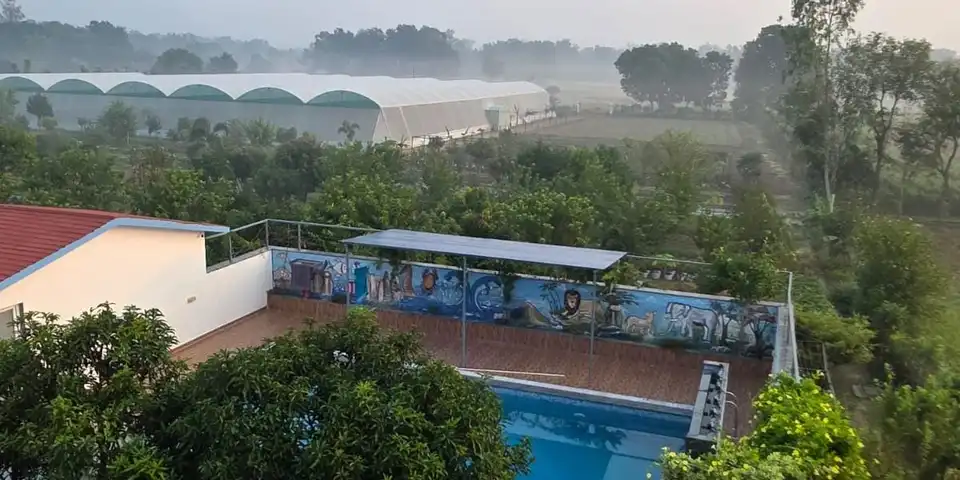 The pool with its painted mural wall on a misty morning.