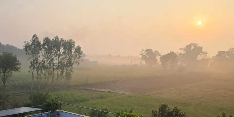 Misty sunrise over open fields and tall trees.