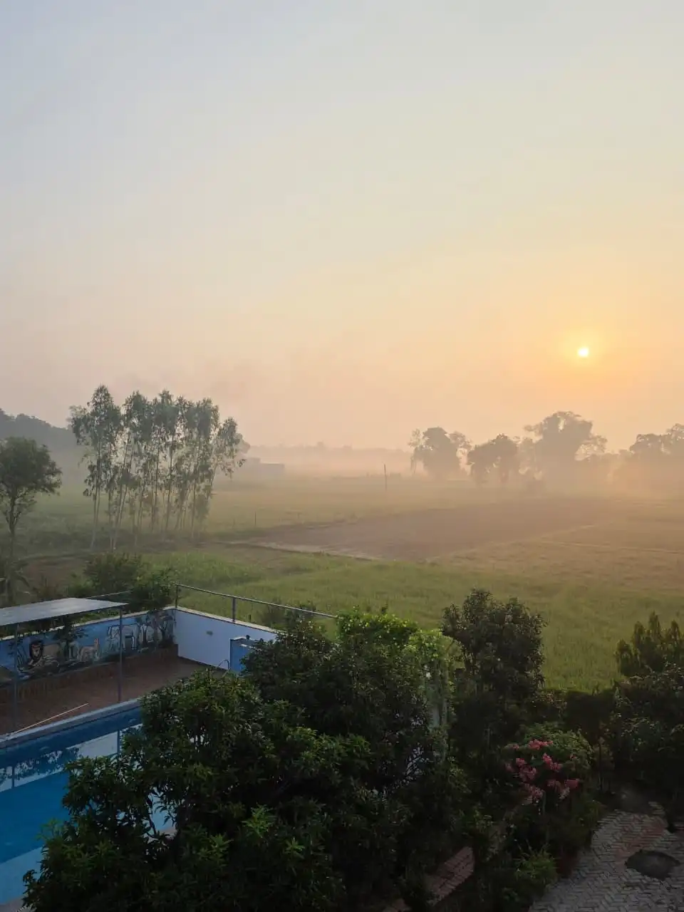 The sun rising through morning mist over fields beyond the garden.